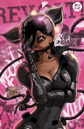 ABSOLUTE CATWOMAN #1 (OF 6) Second Printing Cvr C Kaare Andrews Foil Card Stock Var