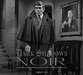 DARK SHADOWS NOIR HC CLASSIC B&W PHOTOGRAPHY — Default Title