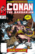 CONAN THE BARBARIAN THE ORIGINAL COMICS OMNIBUS HC VOL 09 REGULAR EDITION MICHAEL HIGGINS (MR)