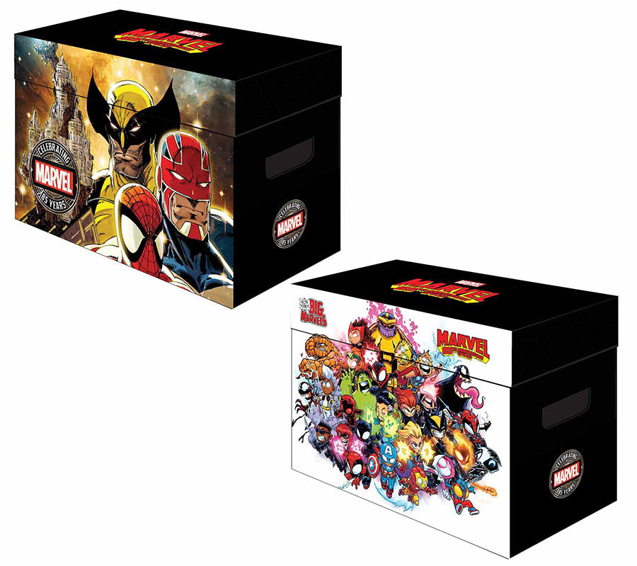 MARVEL GRAPHIC COMIC BOX: BIG MARVEL BY SKOTTIE YOUNG