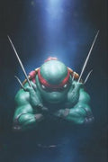 Teenage Mutant Ninja Turtles, Vol. 6 #1