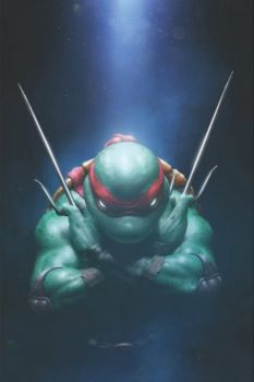 Teenage Mutant Ninja Turtles, Vol. 6 #1