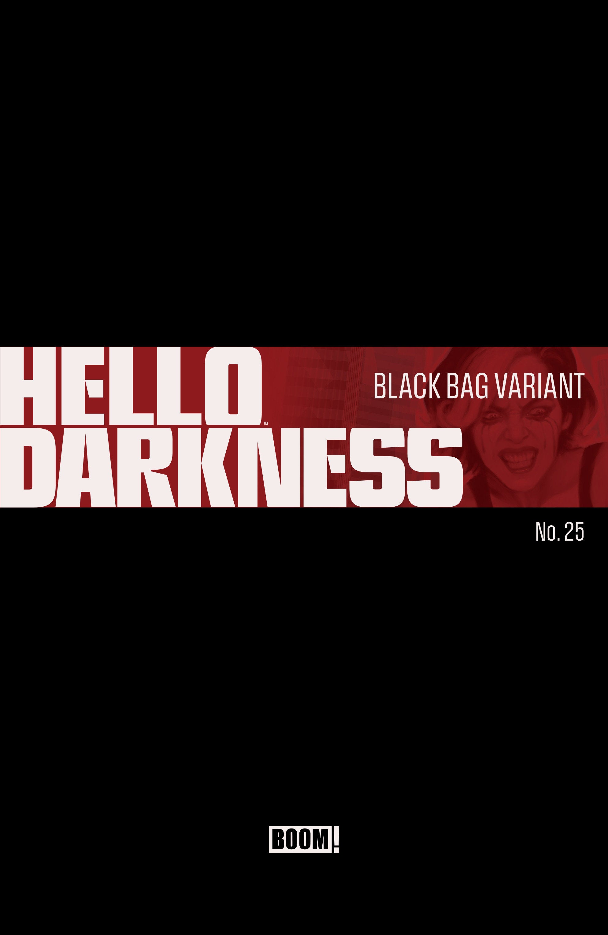Hello Darkness #25 Cover C - Black Bag