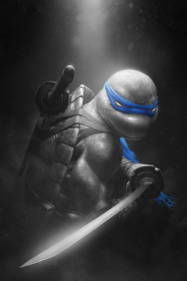 Teenage Mutant Ninja Turtles 2024 #1-4 Rahzzah 616 Exclusive Complete Variant Set — Limited to 600