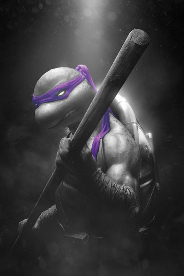 Teenage Mutant Ninja Turtles 2024 #1-4 Rahzzah 616 Exclusive Complete Variant Set — Limited to 600